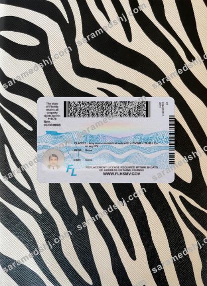 USA Florida driving license 2018-present photolook back